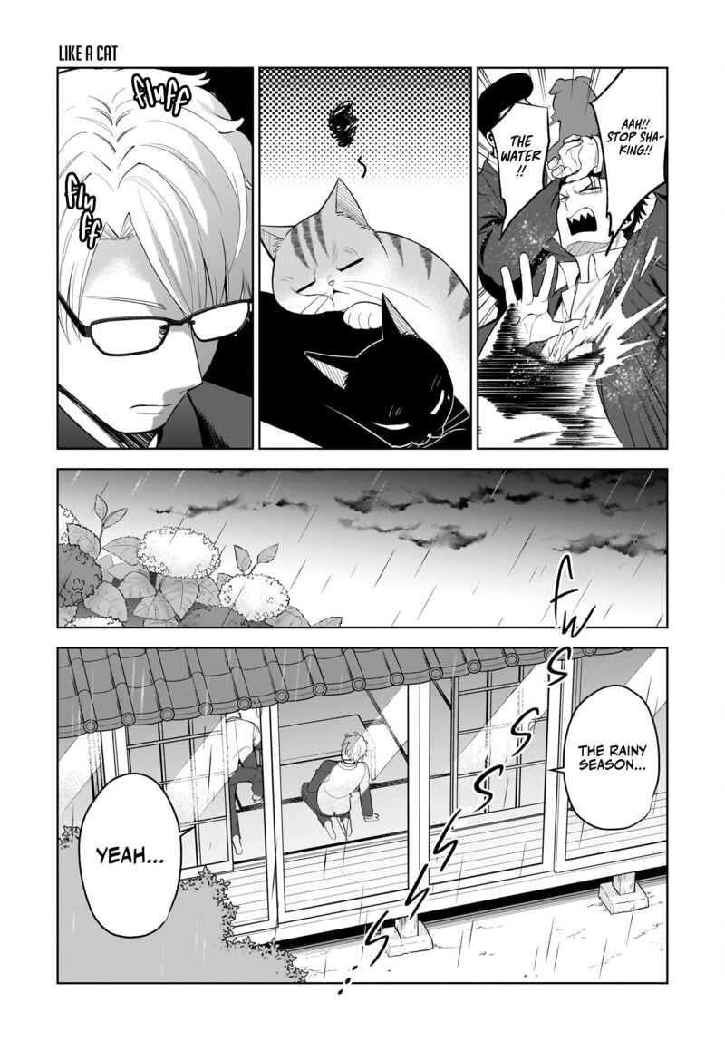 Neko Ga Gotoku 37 10