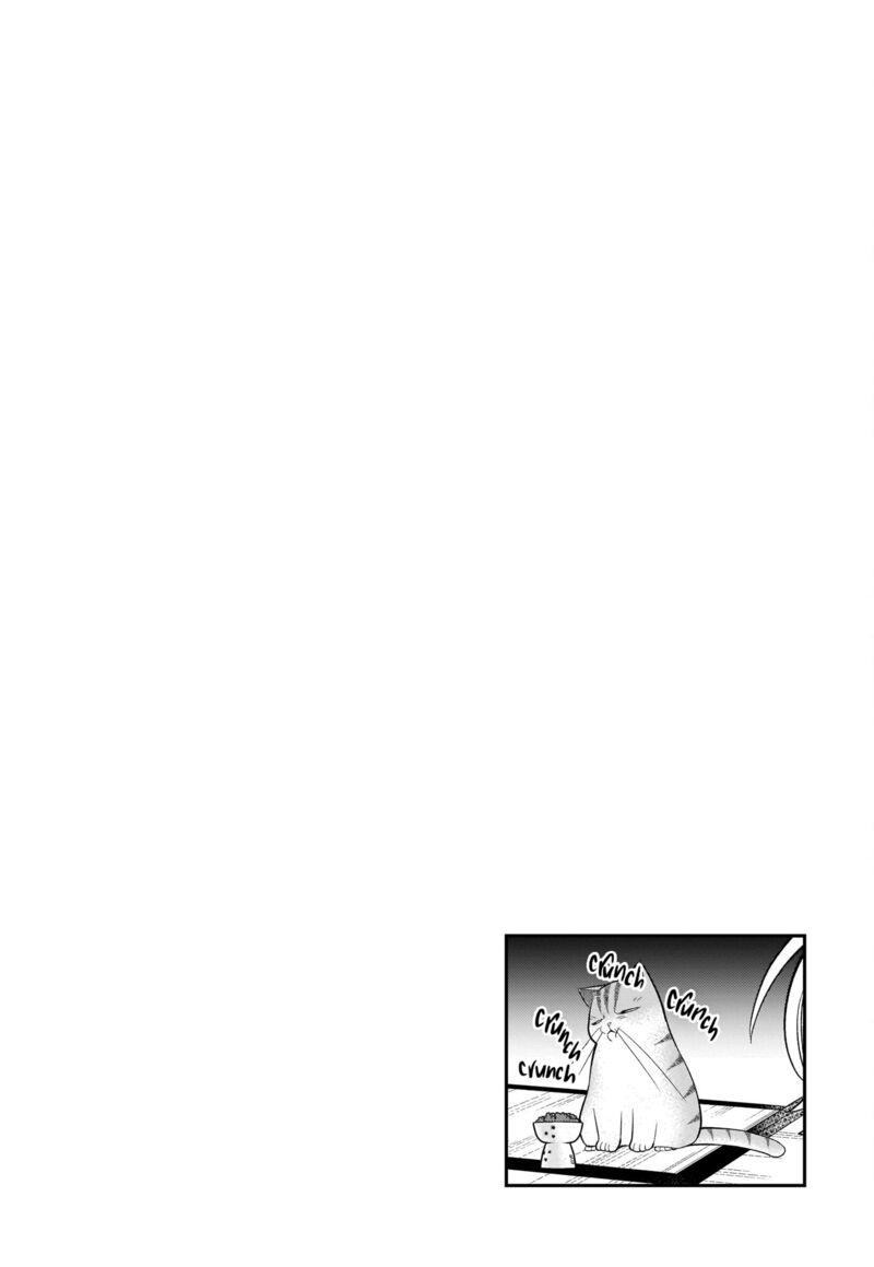 Neko Ga Gotoku 37 11