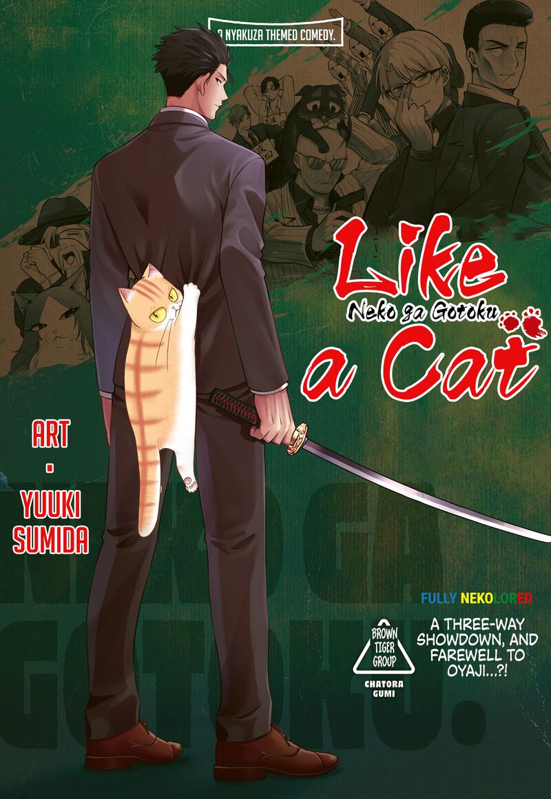 Neko Ga Gotoku 39 17