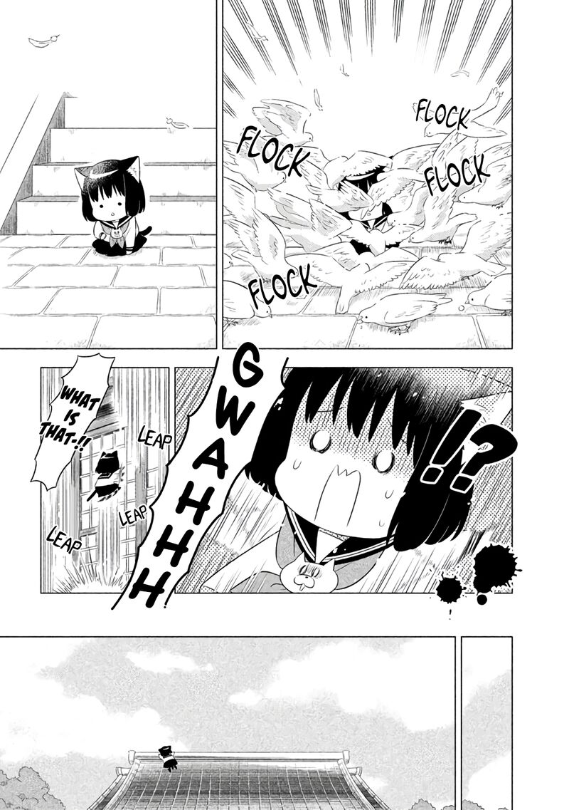 Neko No Kohana 13 11