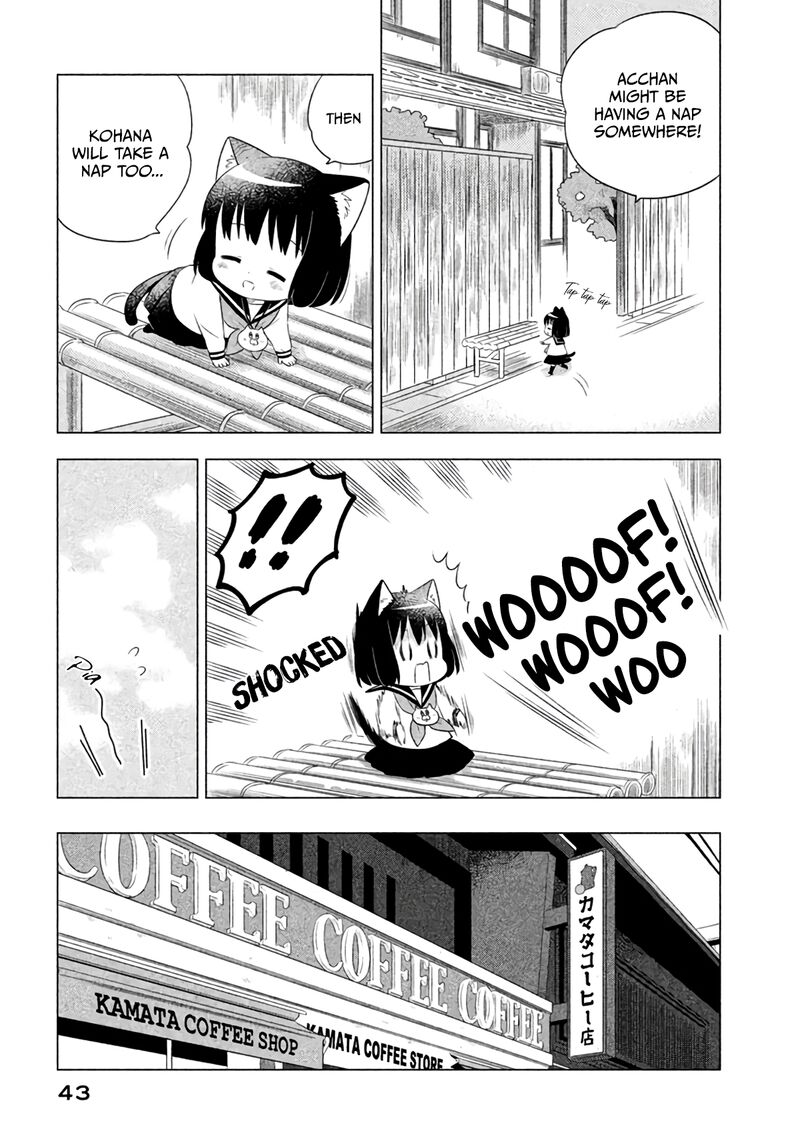 Neko No Kohana 13 5