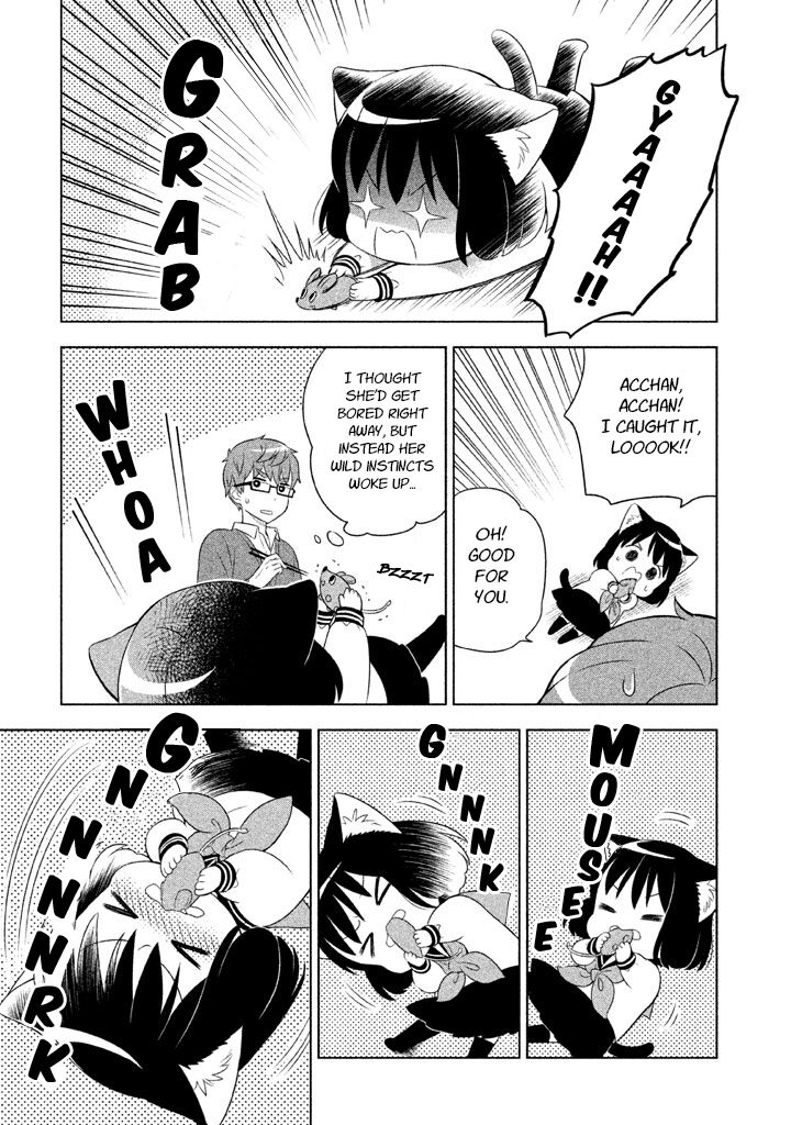 Neko No Kohana 20 13