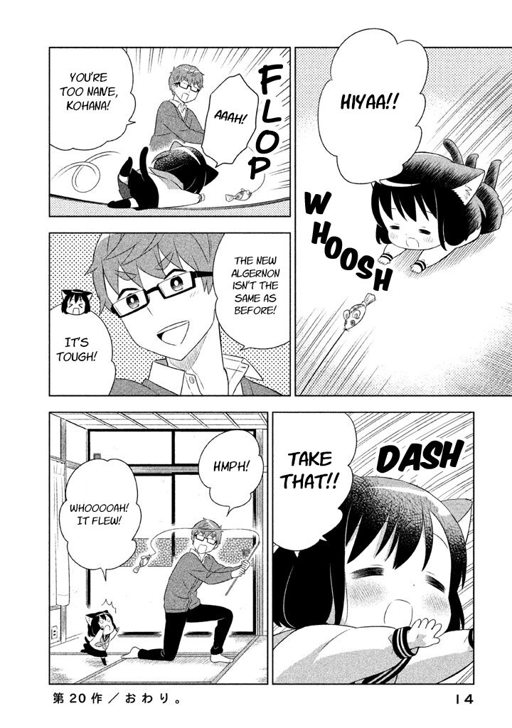 Neko No Kohana 20 16