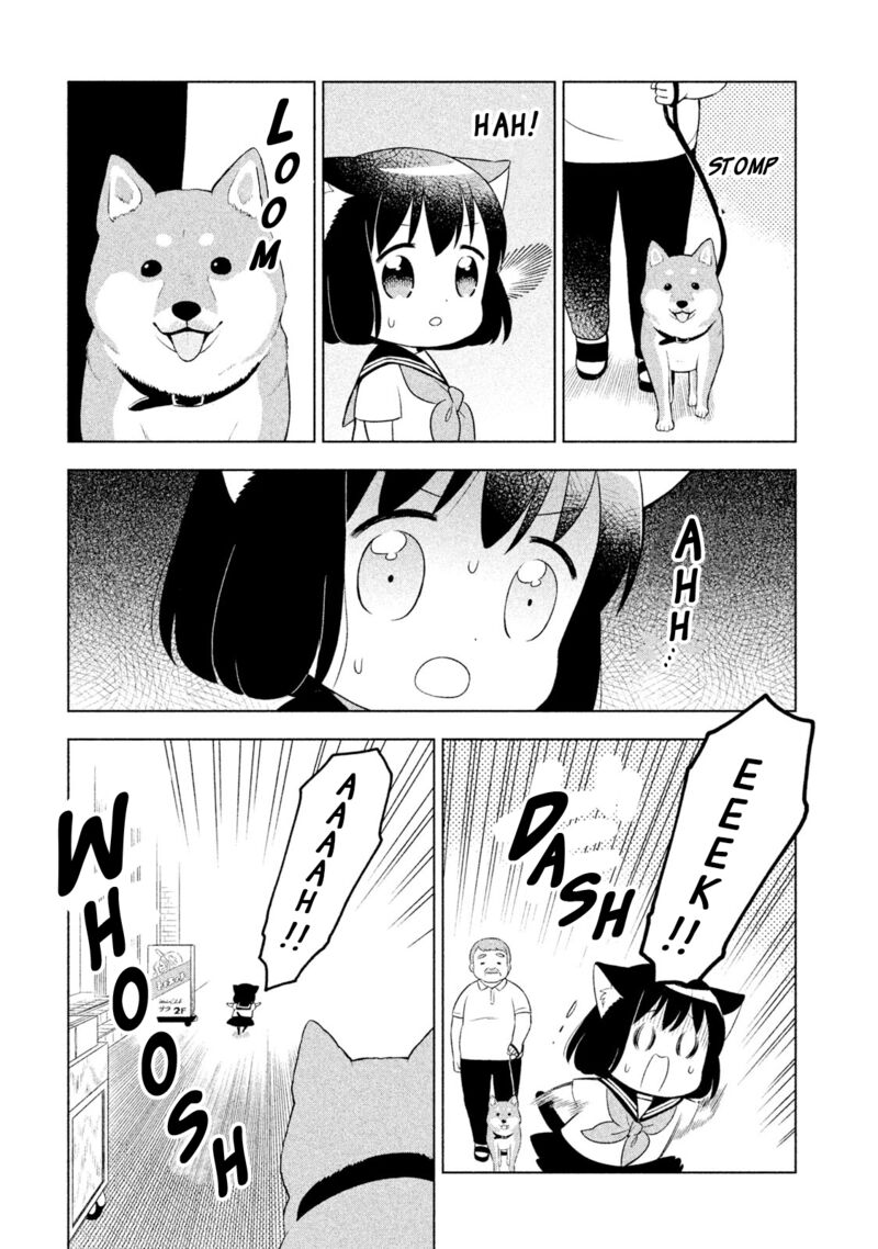 Neko No Kohana 28 5