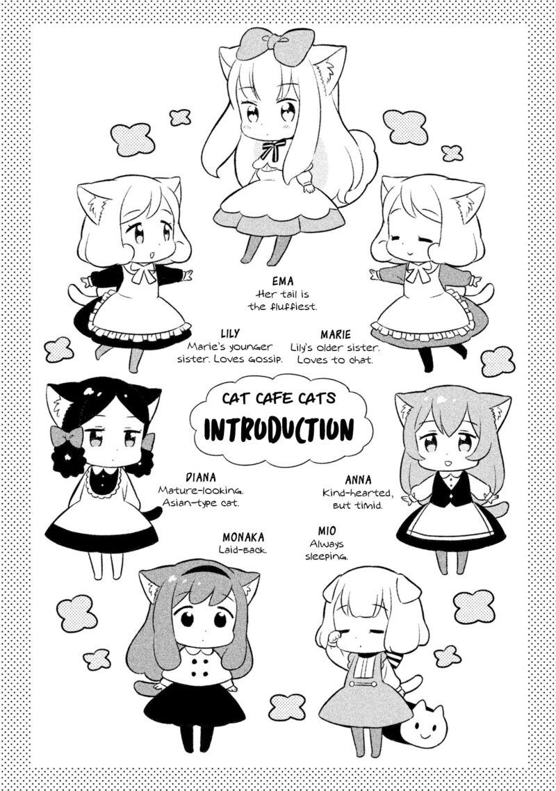 Neko No Kohana 29e 2