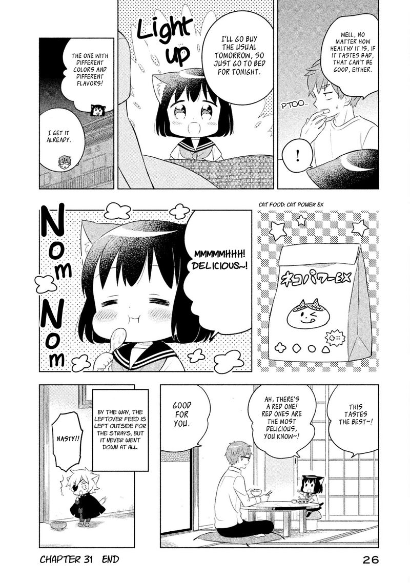 Neko No Kohana 31 12