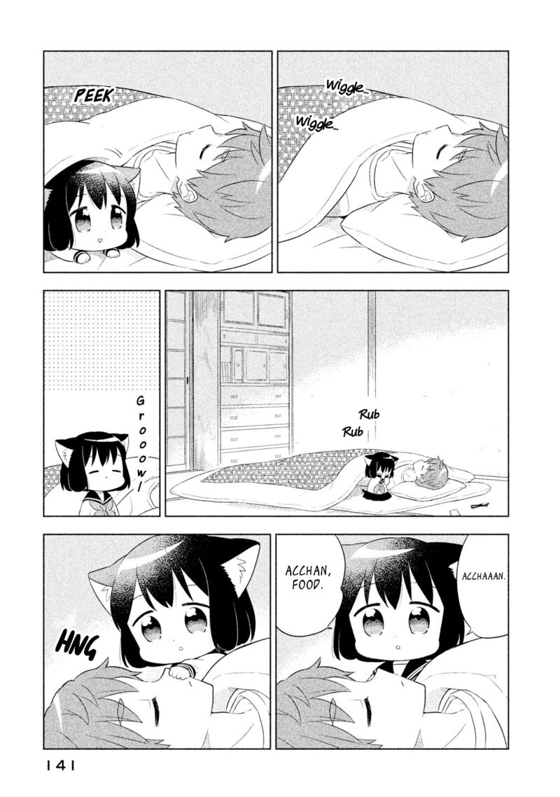 Neko No Kohana 41 3