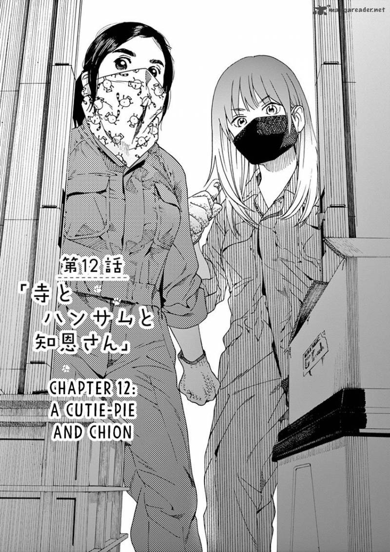 Neko No Otera No Chion San 12 2