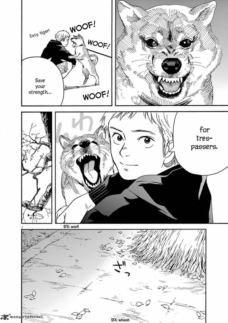 Neko No Otera No Chion San 13 2