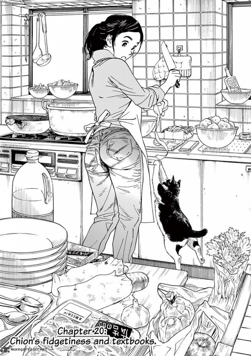 Neko No Otera No Chion San 20 3