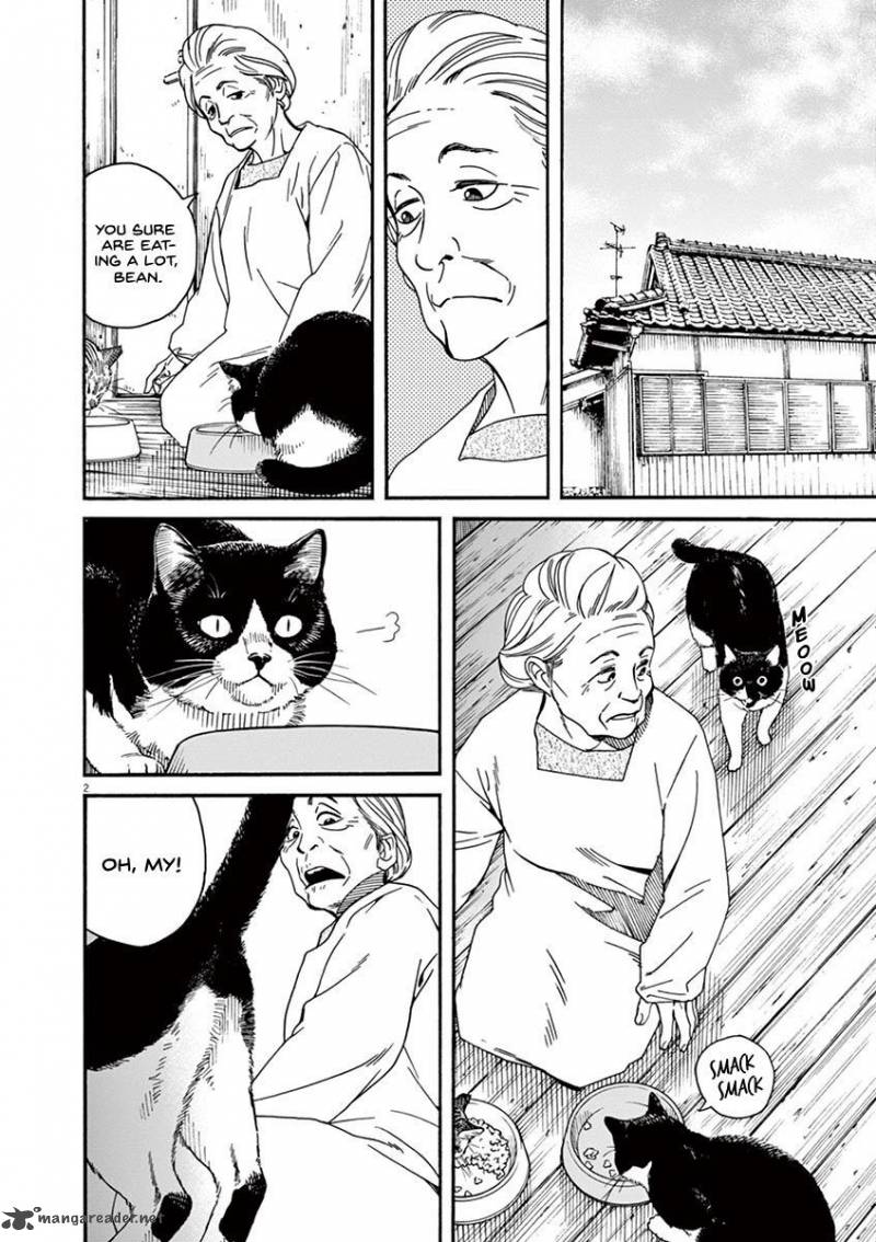Neko No Otera No Chion San 21 2