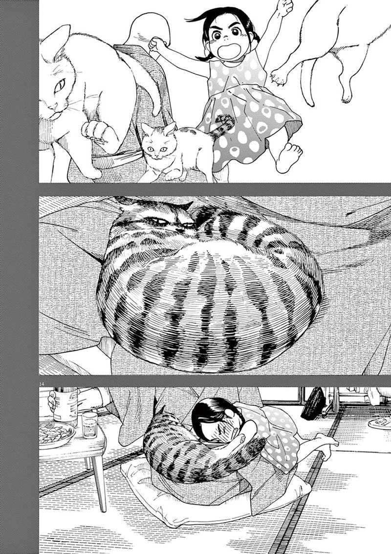 Neko No Otera No Chion San 27 18