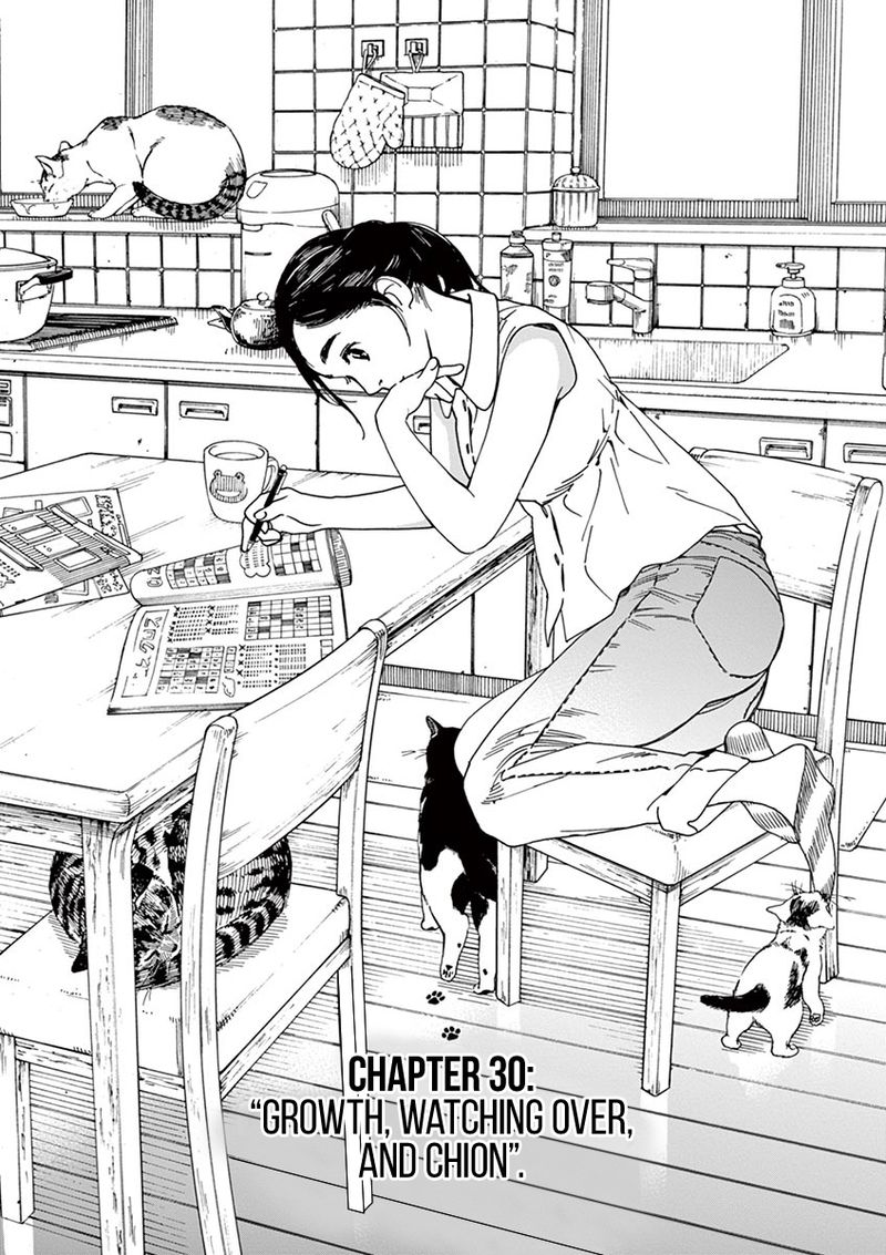 Neko No Otera No Chion San 30 1