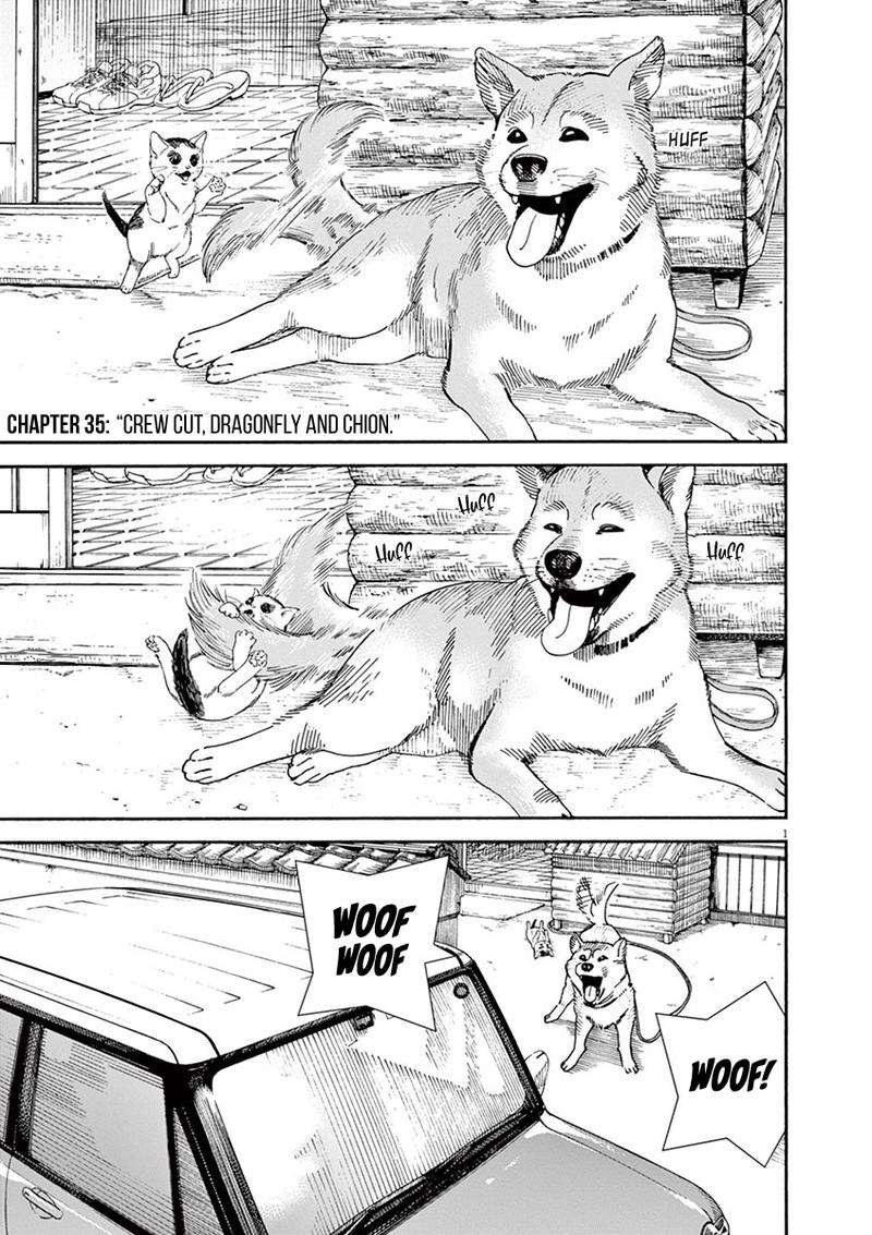 Neko No Otera No Chion San 35 1