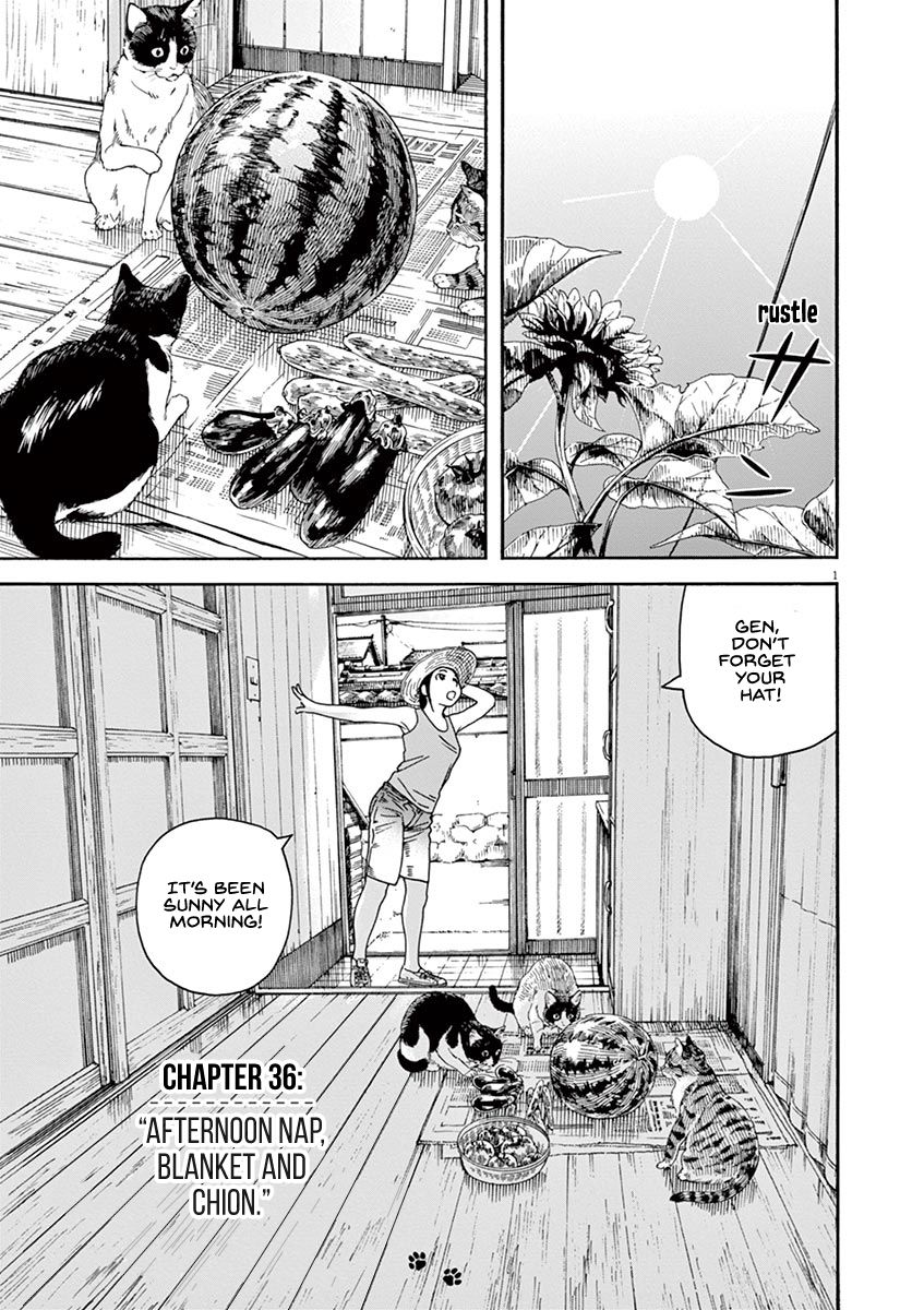 Neko No Otera No Chion San 36 5