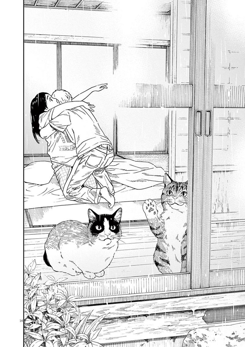 Neko No Otera No Chion San 43 14