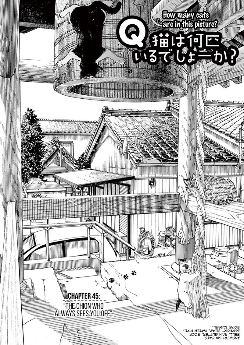 Neko No Otera No Chion San 45 5