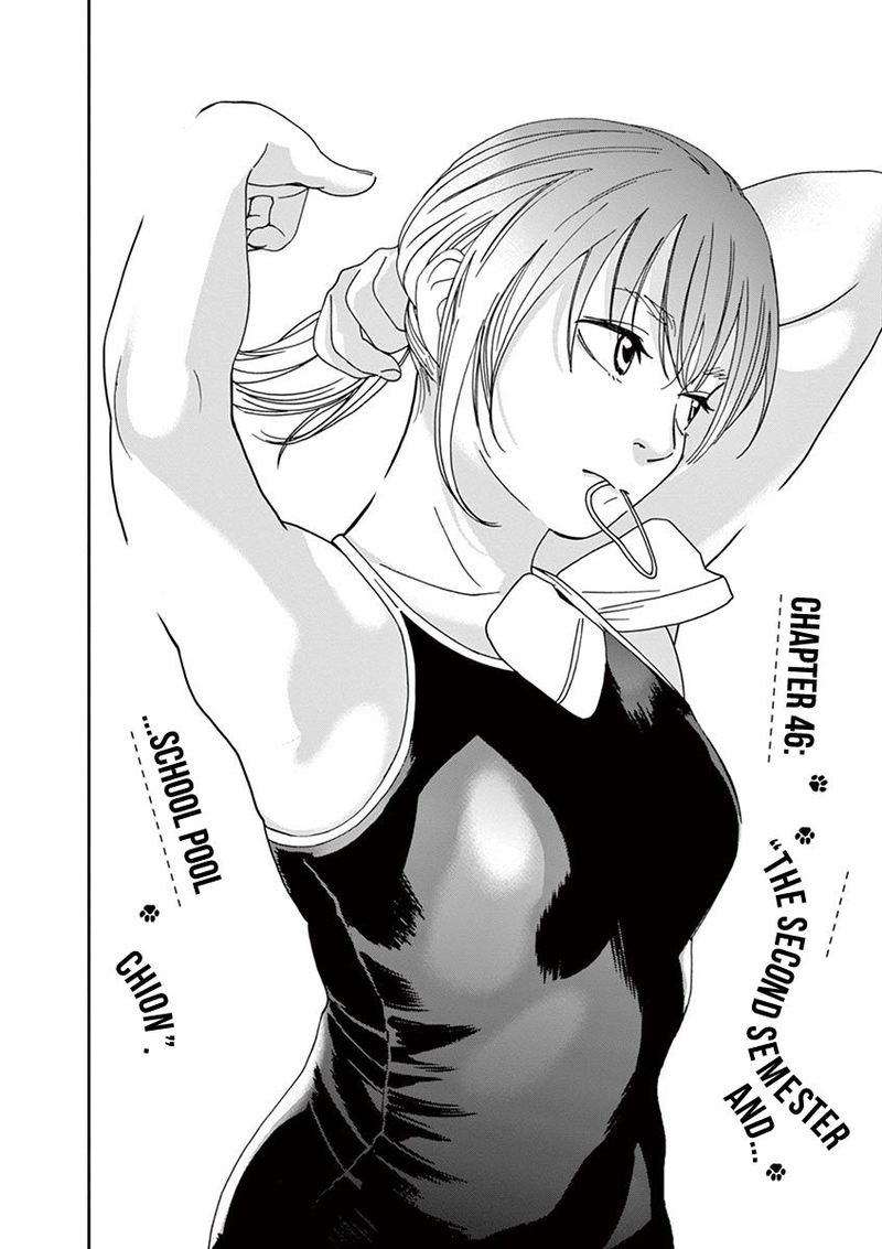 Neko No Otera No Chion San 46 2