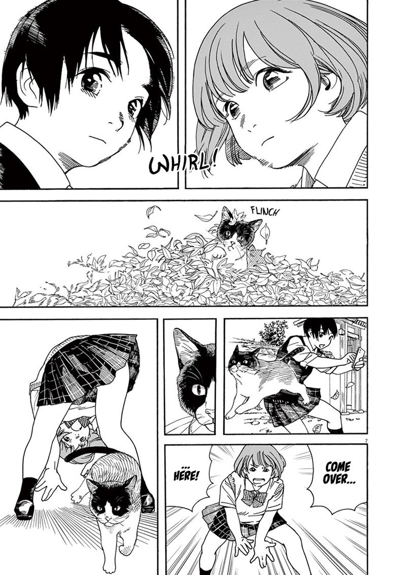 Neko No Otera No Chion San 49 11