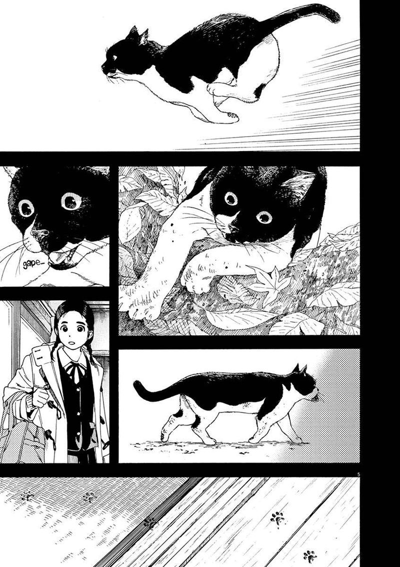 Neko No Otera No Chion San 68 5