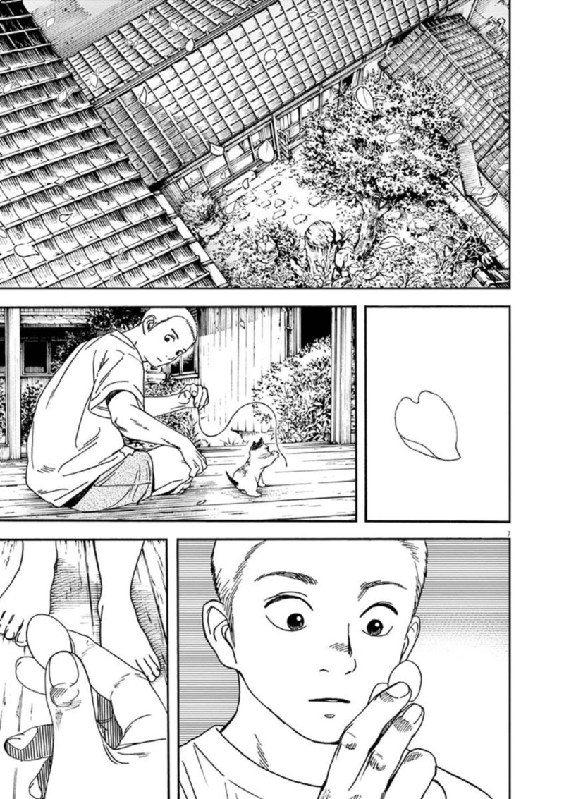 Neko No Otera No Chion San 77 7