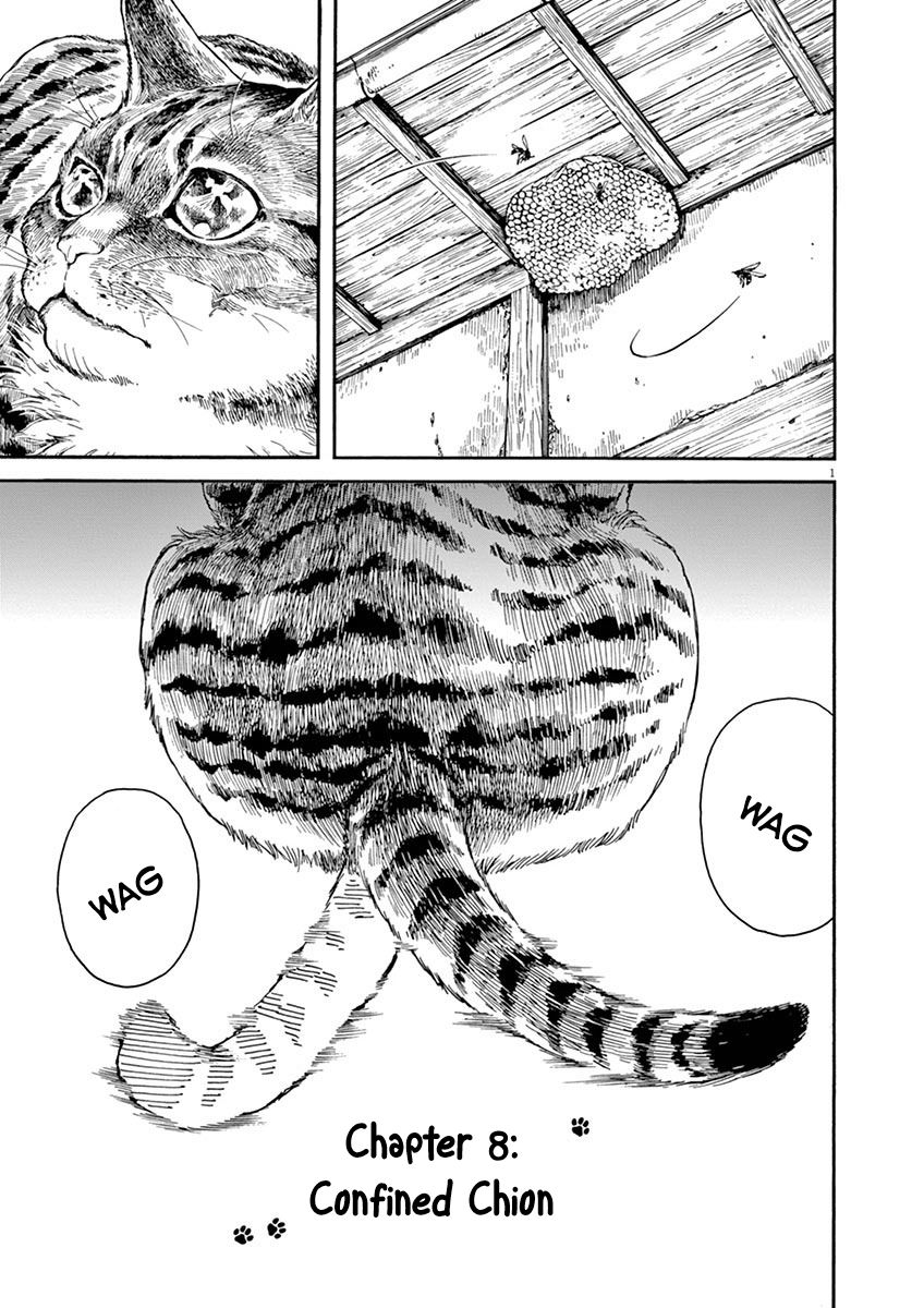 Neko No Otera No Chion San 8 1