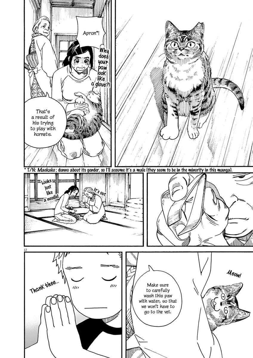 Neko No Otera No Chion San 9 12