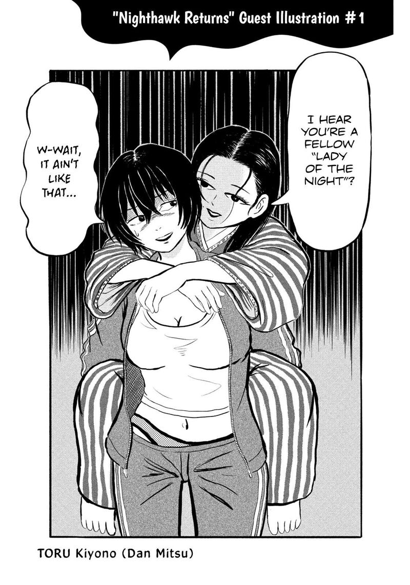 Nighthawk Returns 14 19