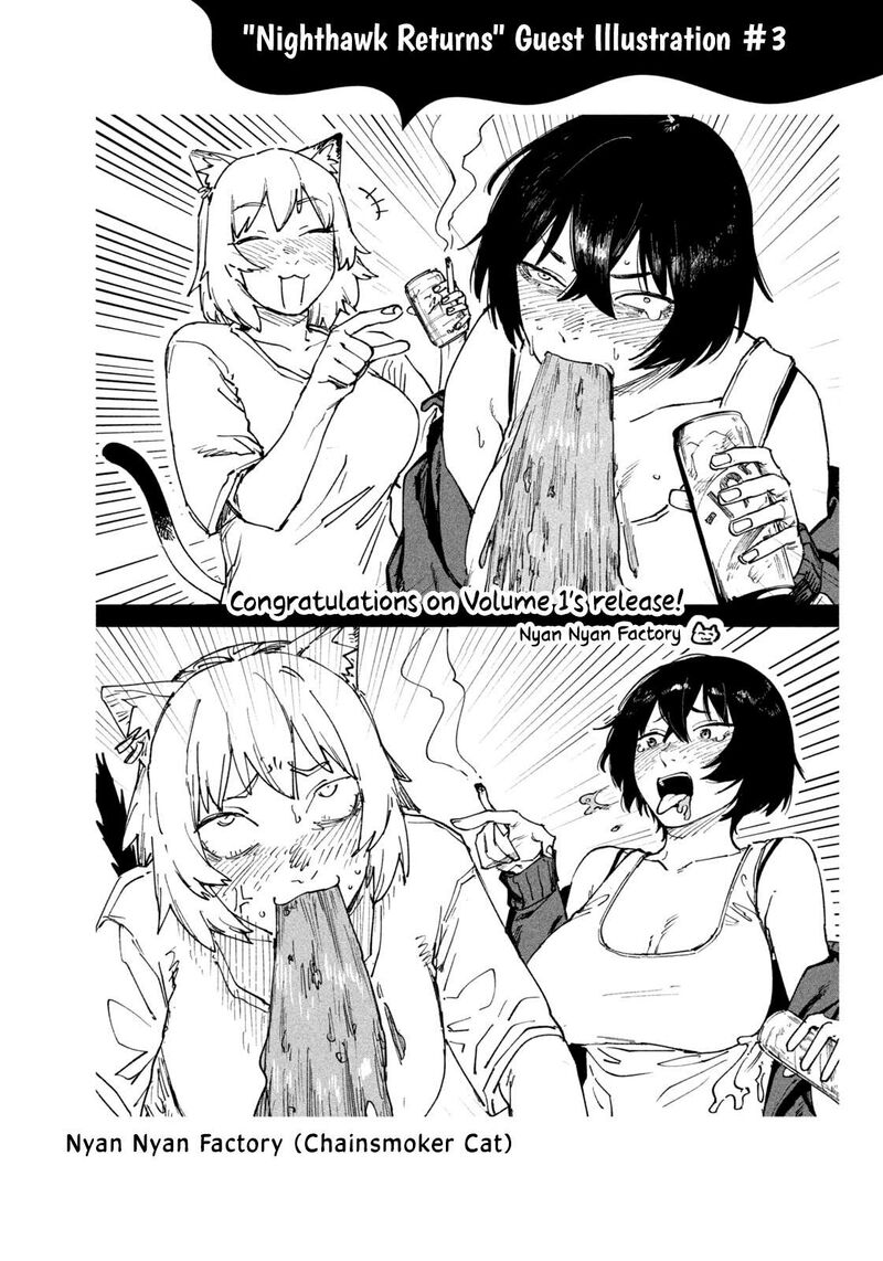 Nighthawk Returns 14 21