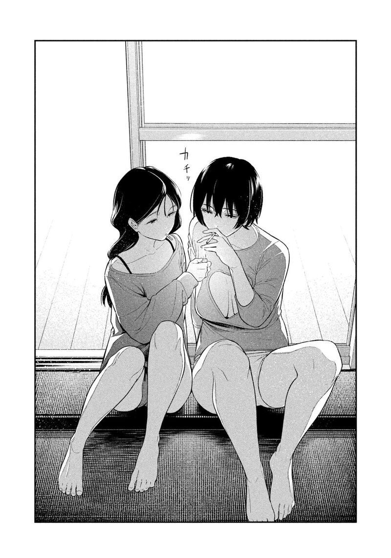 Nighthawk Returns 15 16