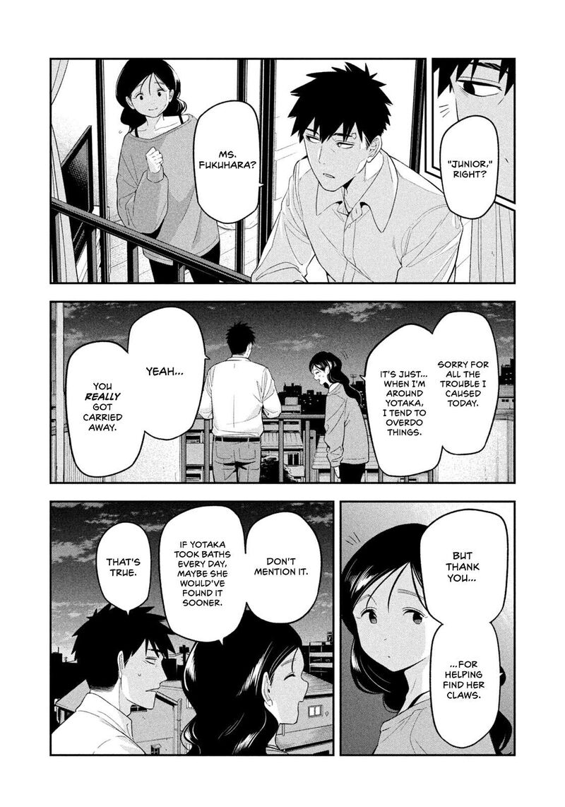 Nighthawk Returns 17 16