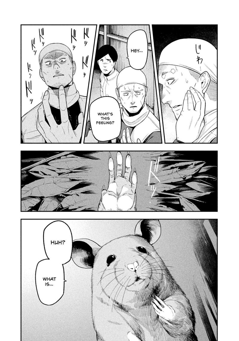 Nighthawk Returns 21 9