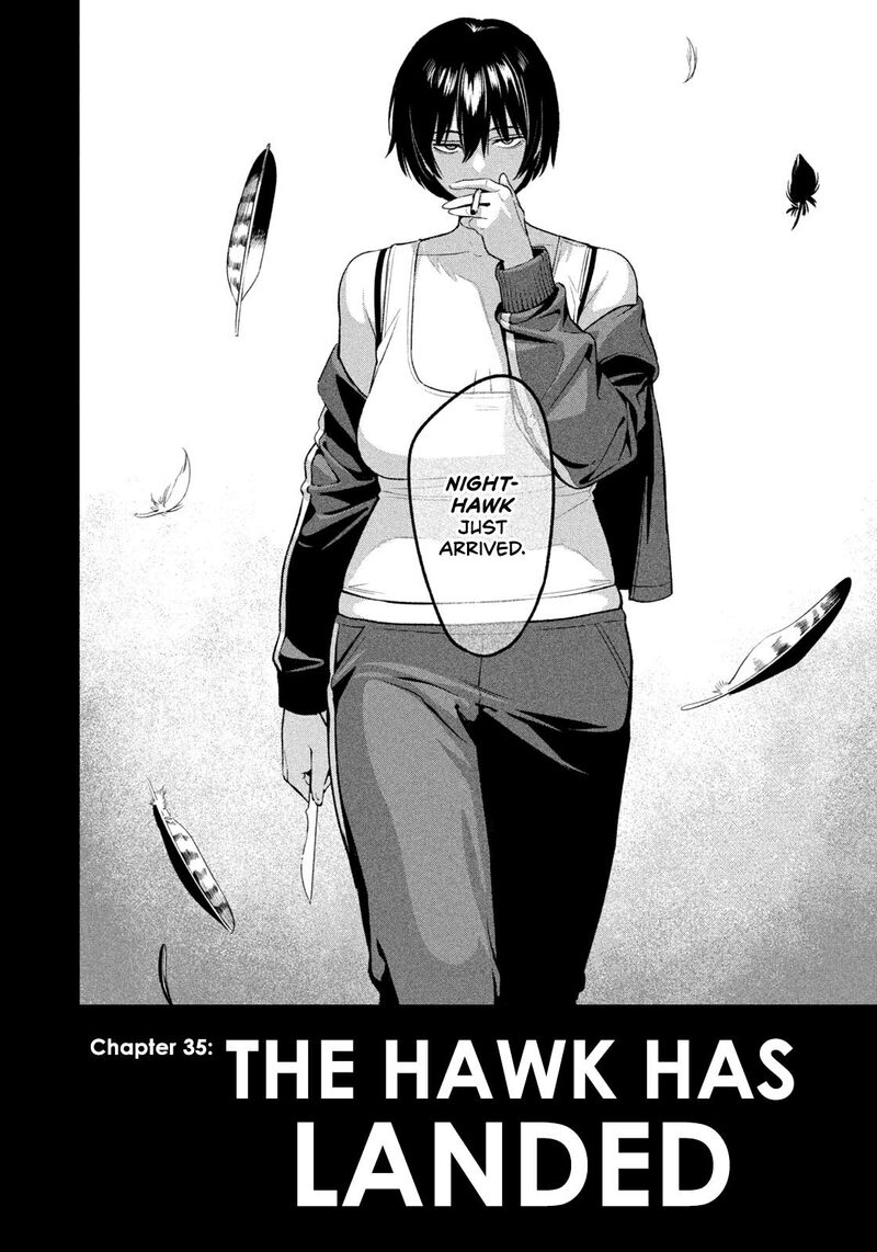 Nighthawk Returns 35 18