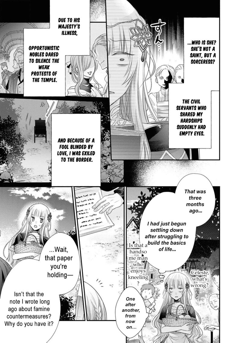 Nise Seijo Da To Iwaremashita Ga Douyara Watashi Ga Honmono No You Desu Ka 11 12