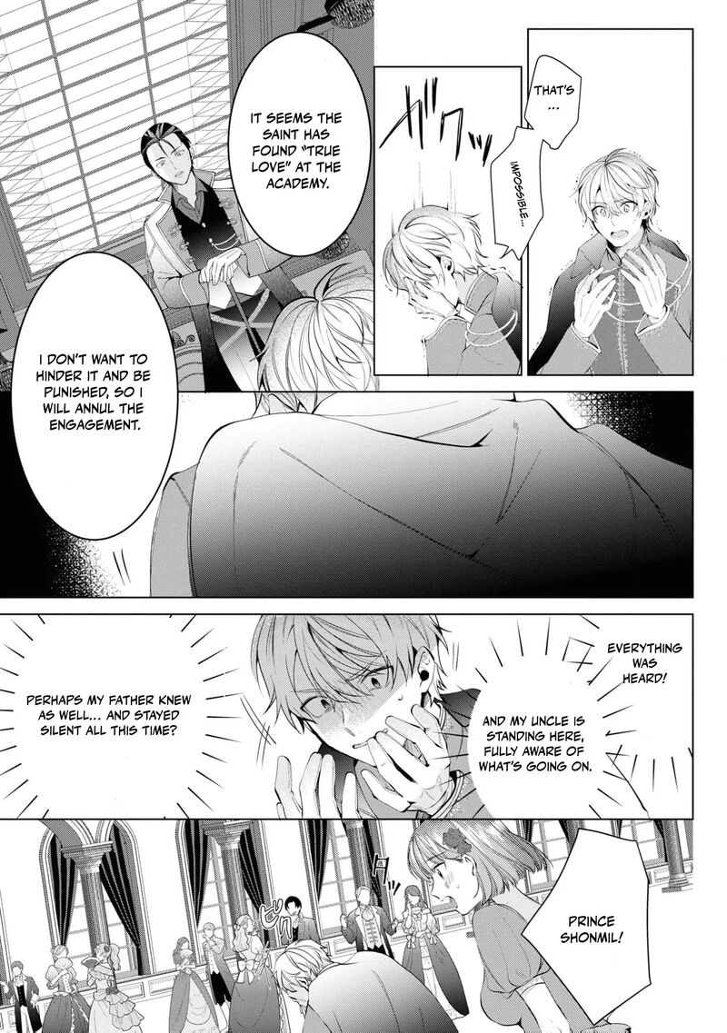 Nise Seijo Da To Iwaremashita Ga Douyara Watashi Ga Honmono No You Desu Ka 12 17