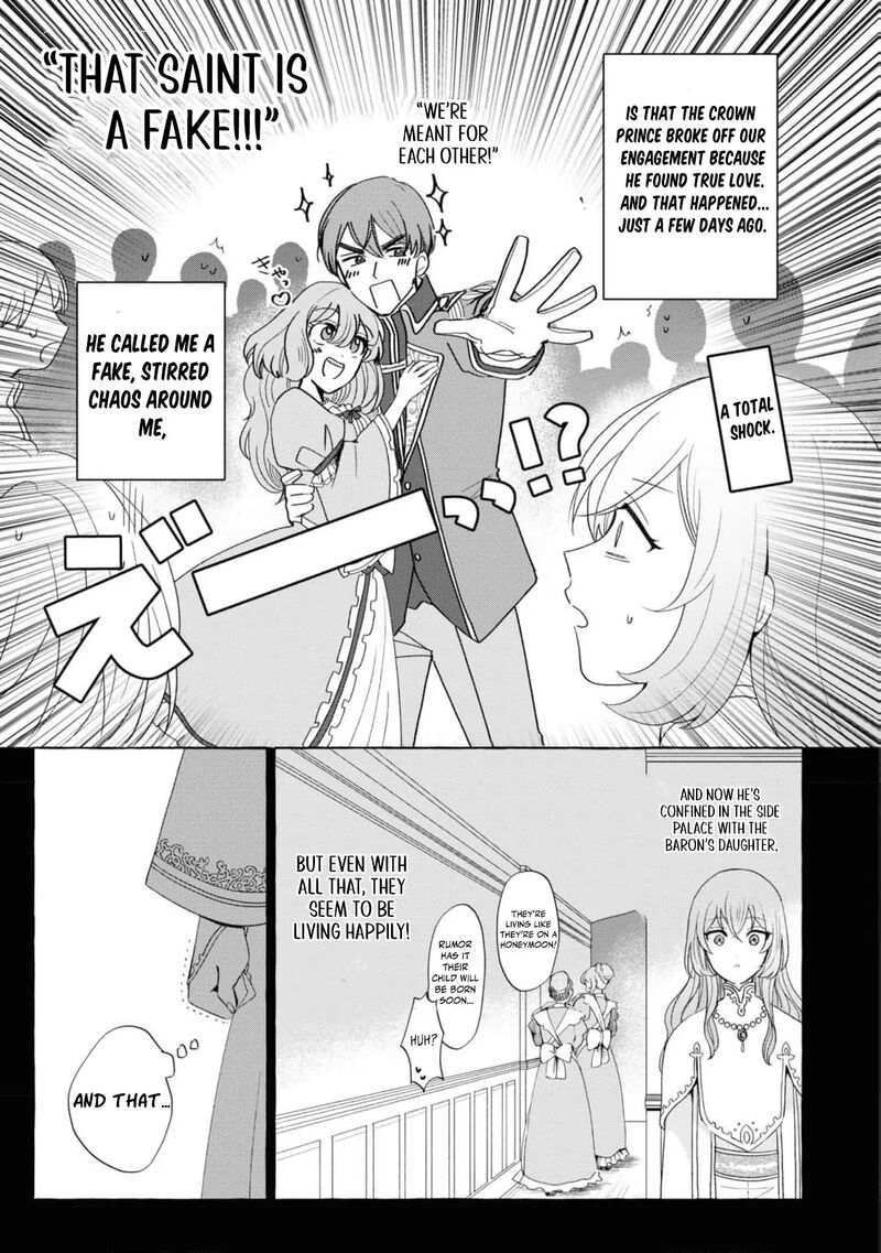 Nise Seijo Da To Iwaremashita Ga Douyara Watashi Ga Honmono No You Desu Ka 13 9