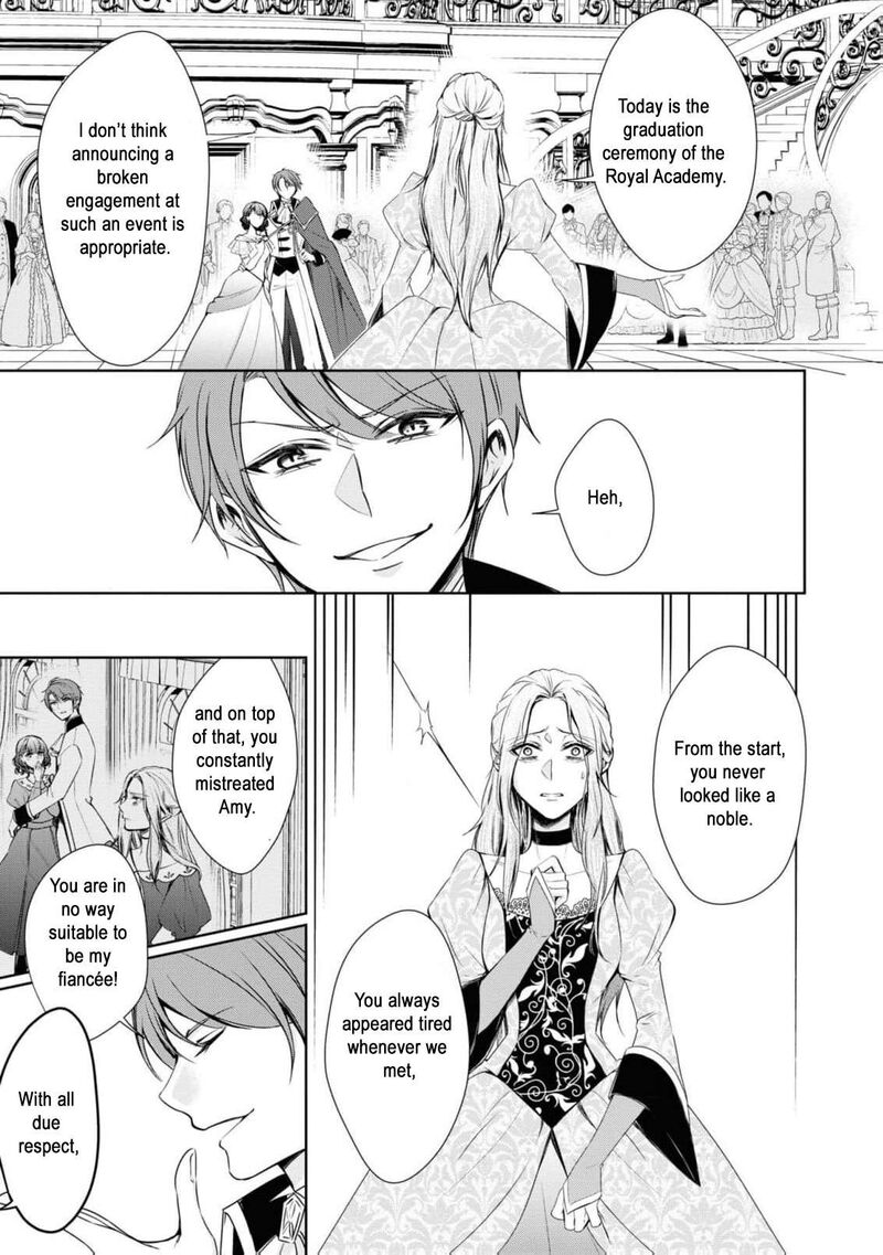 Nise Seijo Da To Iwaremashita Ga Douyara Watashi Ga Honmono No You Desu Ka 2 9