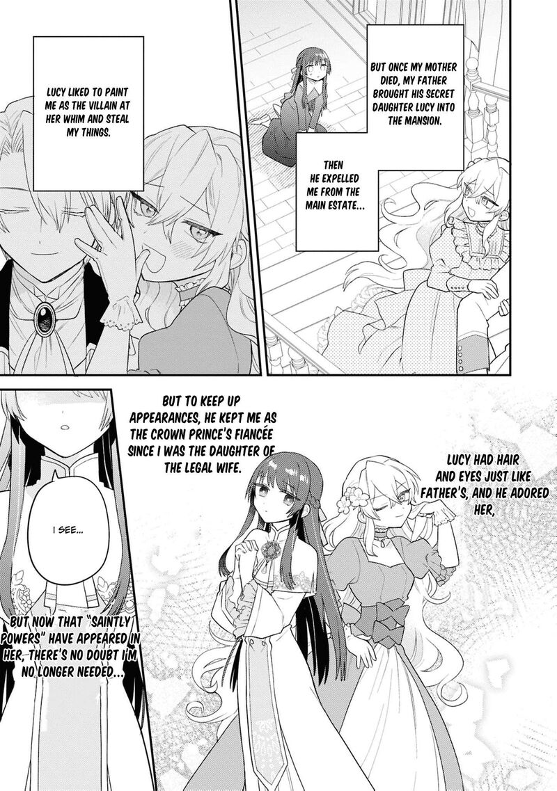 Nise Seijo Da To Iwaremashita Ga Douyara Watashi Ga Honmono No You Desu Ka 20 8