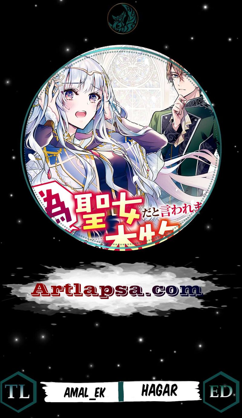 Nise Seijo Da To Iwaremashita Ga Douyara Watashi Ga Honmono No You Desu Ka 3 2