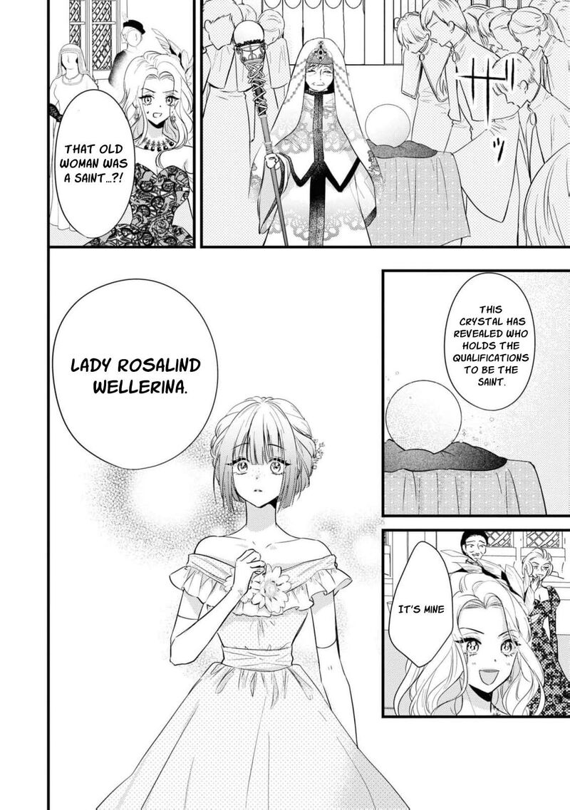 Nise Seijo Da To Iwaremashita Ga Douyara Watashi Ga Honmono No You Desu Ka 3 24