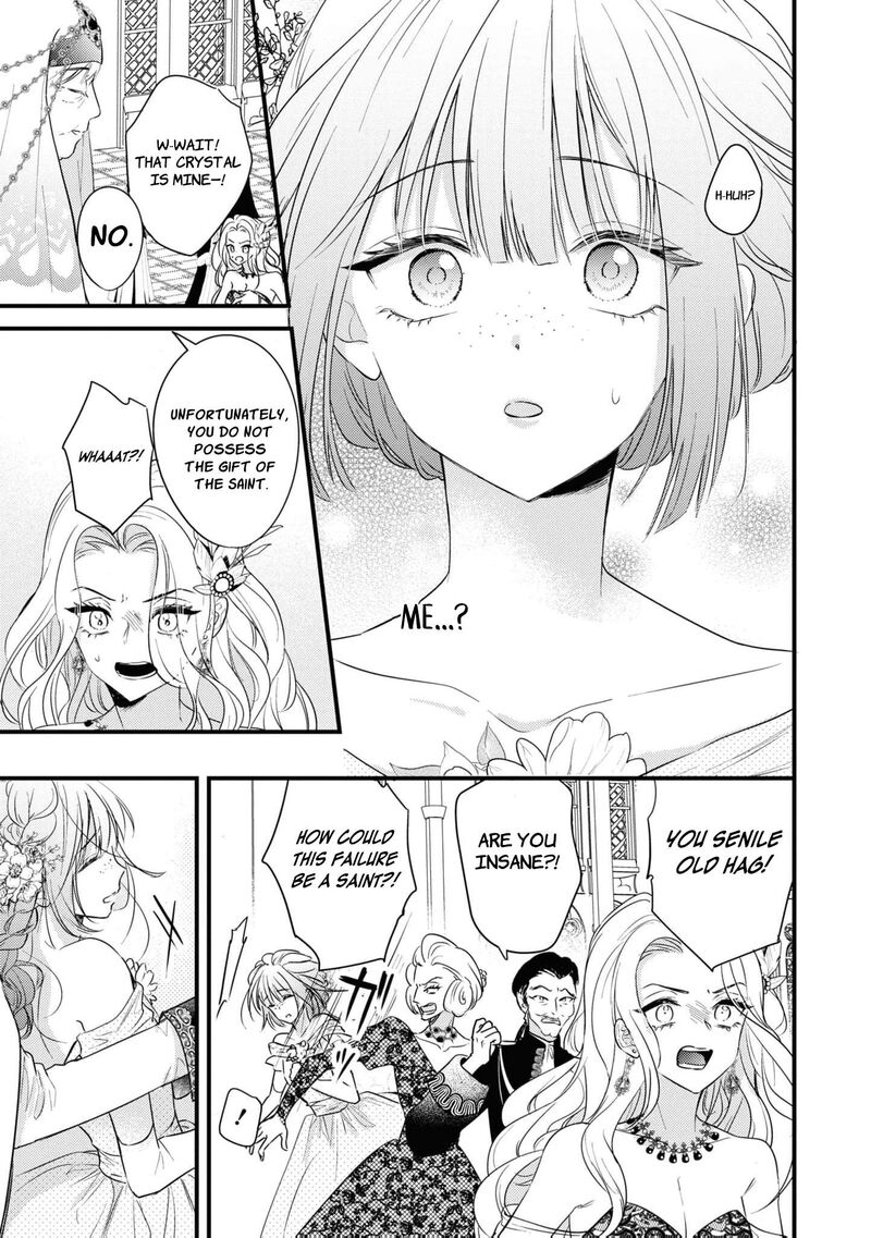 Nise Seijo Da To Iwaremashita Ga Douyara Watashi Ga Honmono No You Desu Ka 3 25