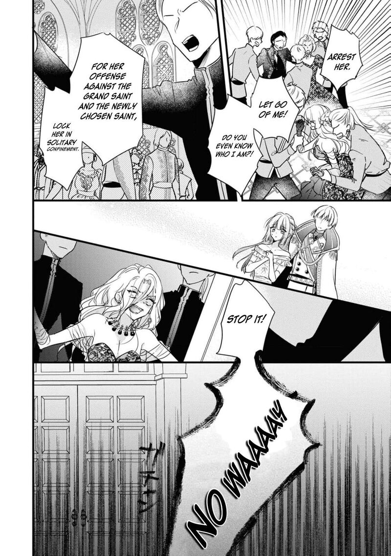 Nise Seijo Da To Iwaremashita Ga Douyara Watashi Ga Honmono No You Desu Ka 3 30