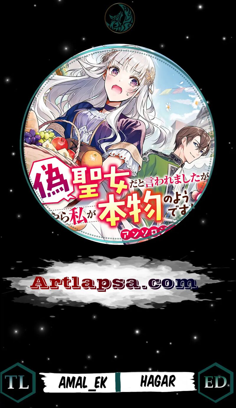 Nise Seijo Da To Iwaremashita Ga Douyara Watashi Ga Honmono No You Desu Ka 7 2