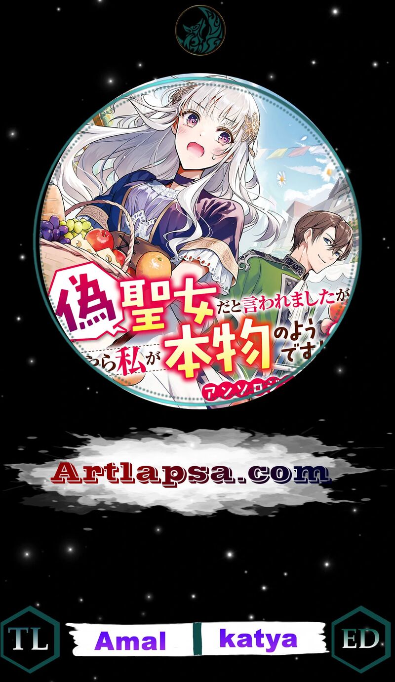 Nise Seijo Da To Iwaremashita Ga Douyara Watashi Ga Honmono No You Desu Ka 9 1