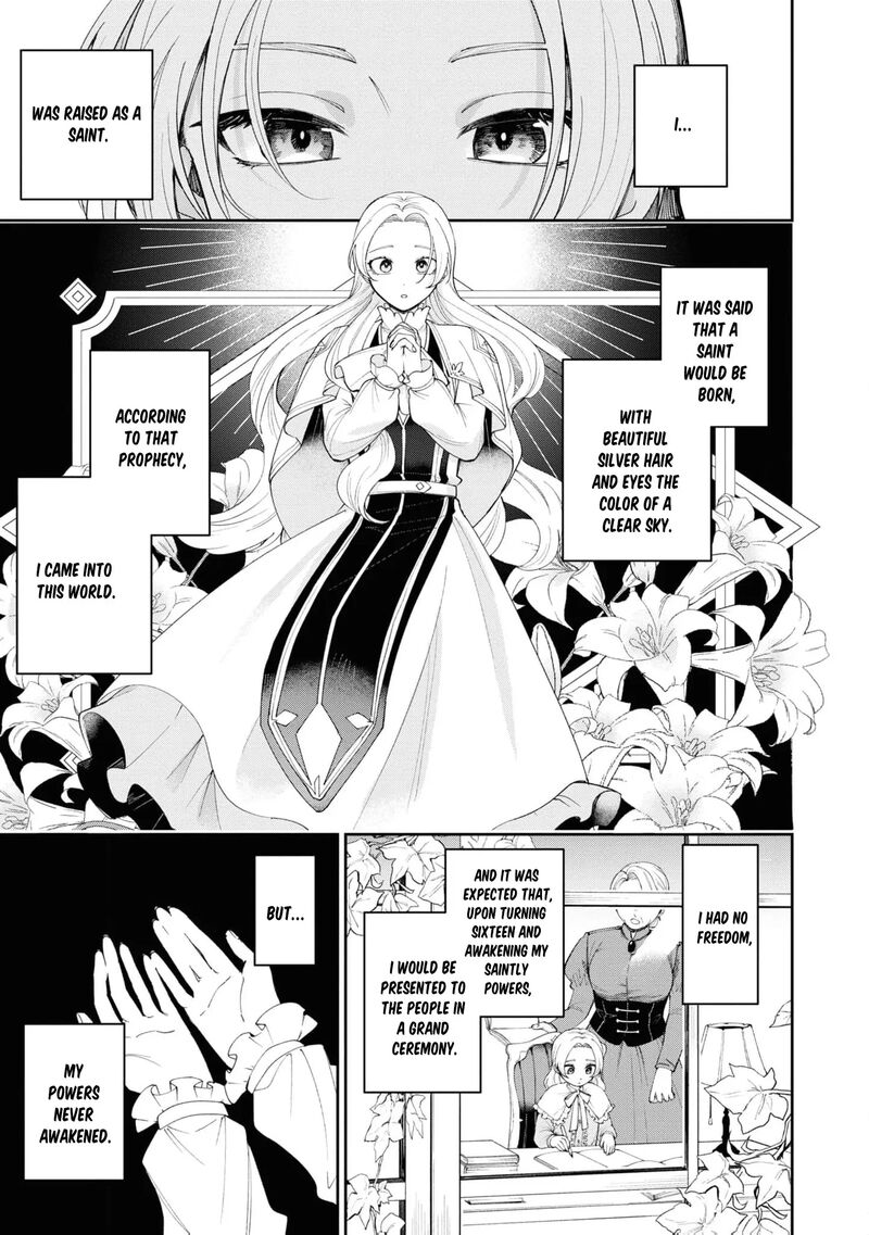 Nise Seijo Da To Iwaremashita Ga Douyara Watashi Ga Honmono No You Desu Ka 9 7