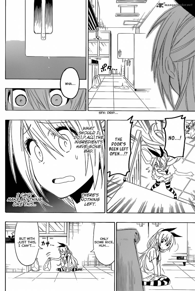 Nisekoi 116 17