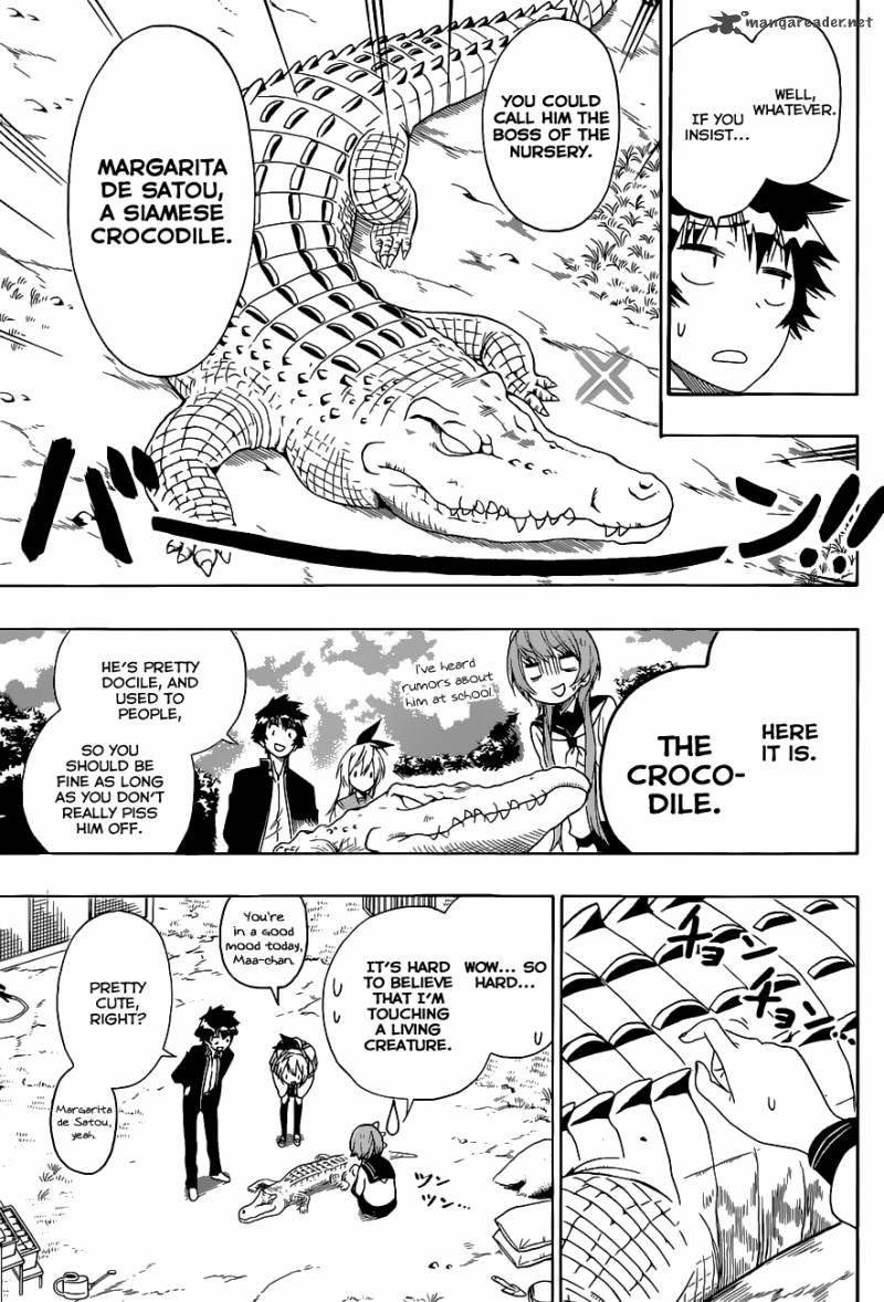 Nisekoi 142 12