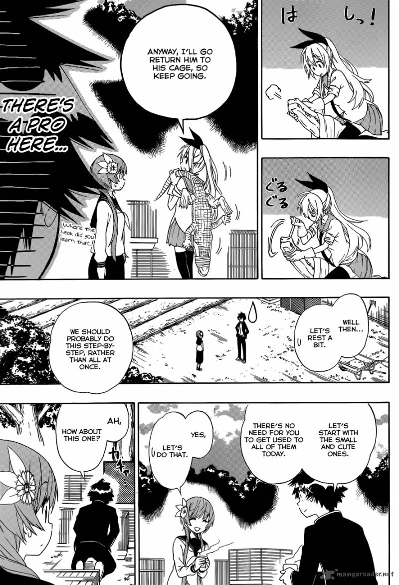 Nisekoi 142 14