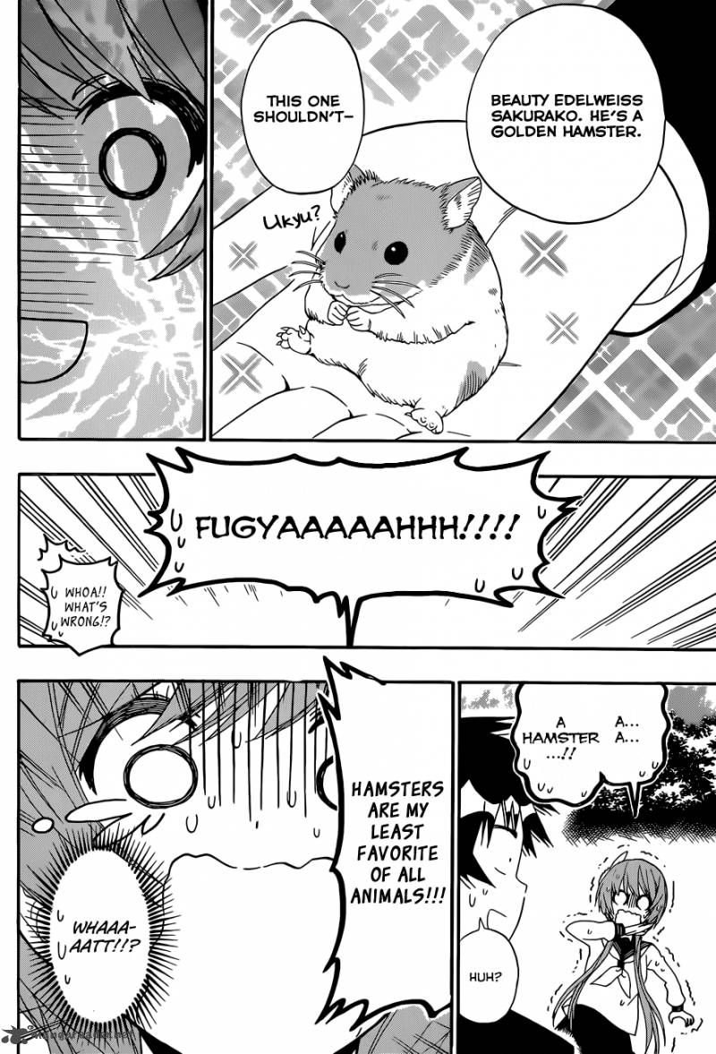 Nisekoi 142 15
