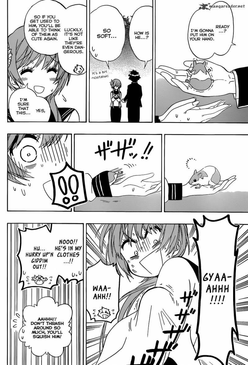 Nisekoi 142 17